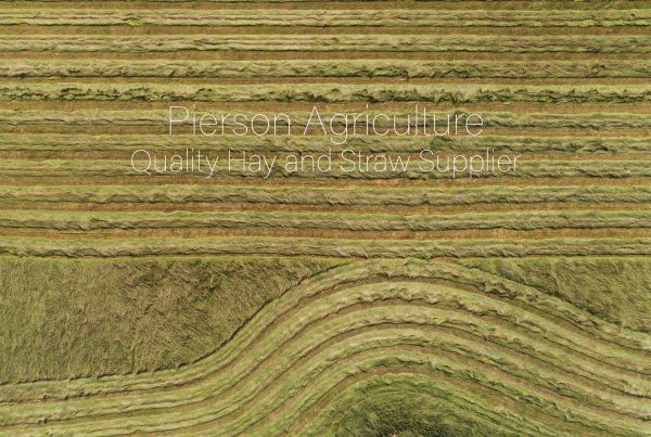 Hay Making