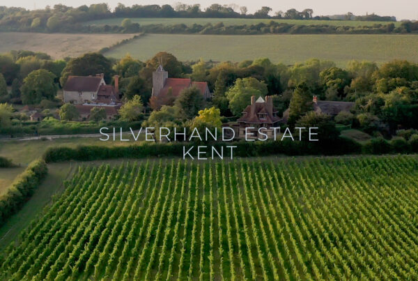 Silverhand Estate